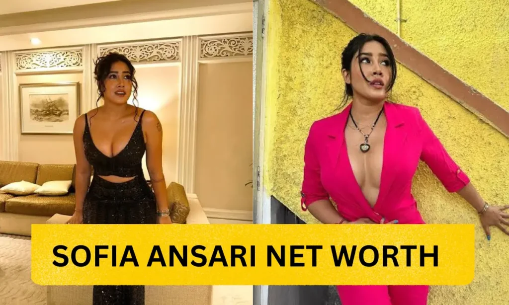 Sofia Ansari Net Worth