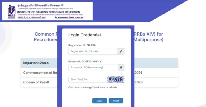 IBPS RRB Clerk Mains Result 2026 released